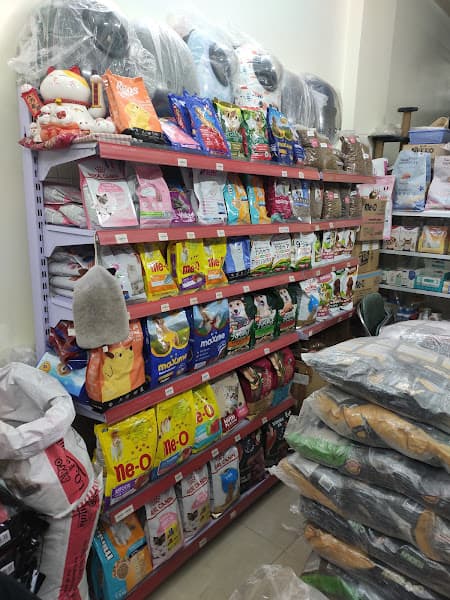 Hình ảnh Little Petzone cơ sở 1 - 10