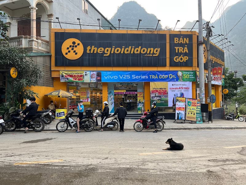 Ảnh bìa Siêu thị Thế Giới Di Động