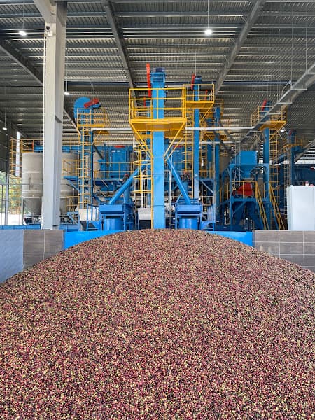 Hình ảnh CÔNG TY CP CHẾ BIẾN CÀ PHÊ SƠN LA - 2