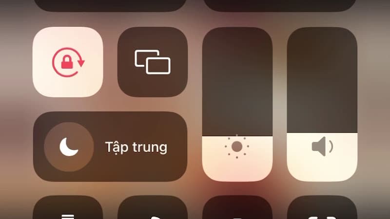 Hình ảnh Malabul - 4