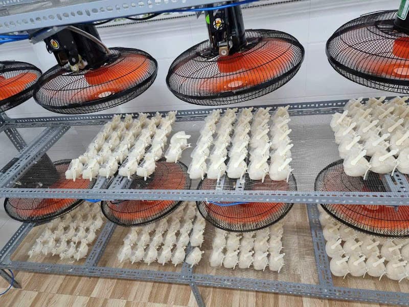 Hình ảnh Yến sào Hoa Đàm Nha Trang Khánh Hoà - 2