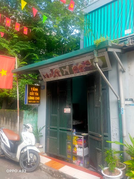 Hình ảnh Spa thú cưng Tuyên Quang - Tiệm cắt tỉa lông chó ( Phạm Nương) - 6