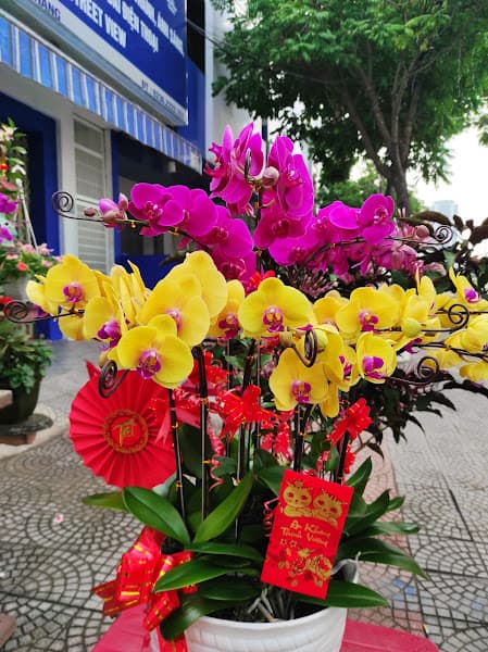 Hình ảnh Giặt ủi Đà Nẵng_Tuyền Laundry - 5