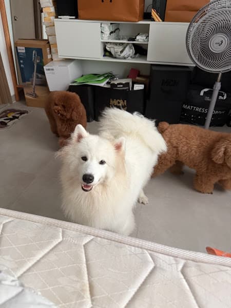 Hình ảnh Wannapet House Đà Nẵng - 3