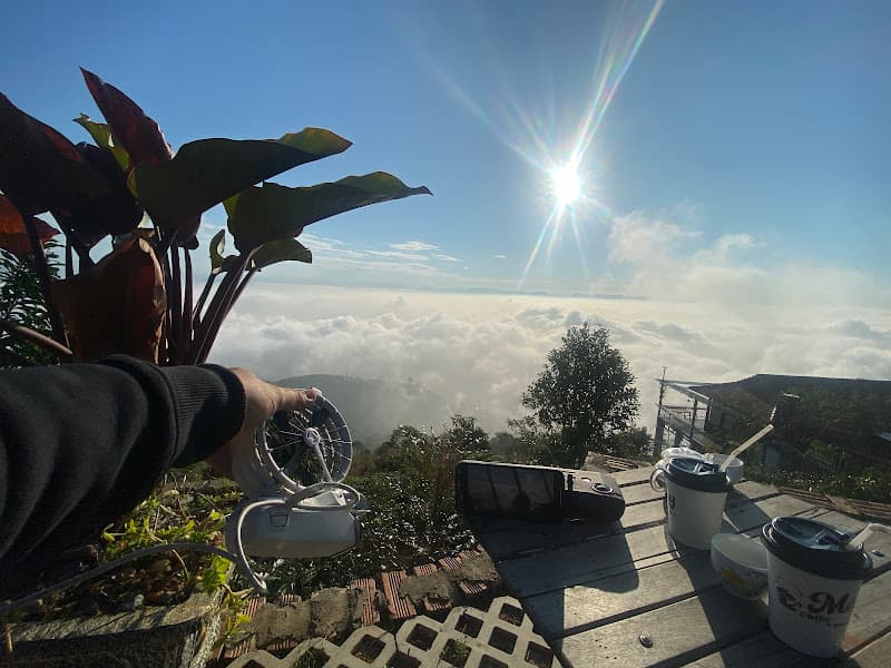 Ảnh bìa Mây Coffee House