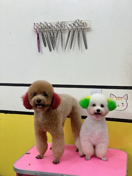 Hình ảnh Phòng khám thú y Huệ Pet - 2