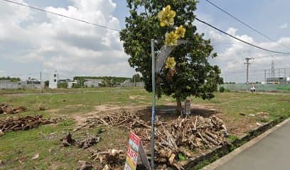 Lươn đồng xứ nghệ.Cháo Canh nghệ an