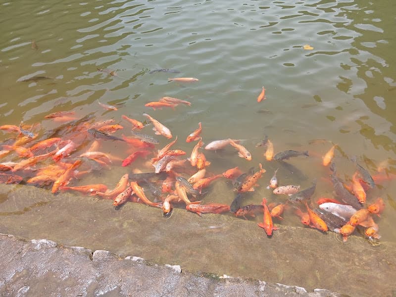 Hình ảnh Động Am Tiên - 2