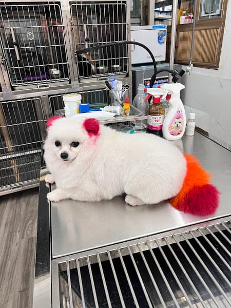 Hình ảnh Bệnh Viện Thú Y Thanh Lâm Vet Hospital - 3