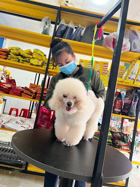 Hình ảnh PHÒNG KHÁM THÚ Y OANH LÊ CHÓ MÈO THÚ CƯNG - 5