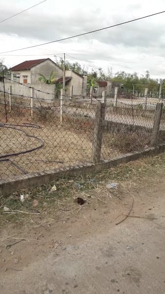 Hình ảnh Công ty Cà phê Hoàng Nguyên Gia Lai - 2