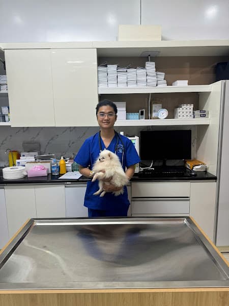 Ảnh bìa Bệnh Viện Thú Y Bình An Hải Phòng