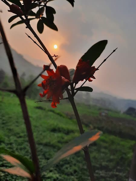 Hình ảnh Quán Bún Phở Tiến Huế - 2