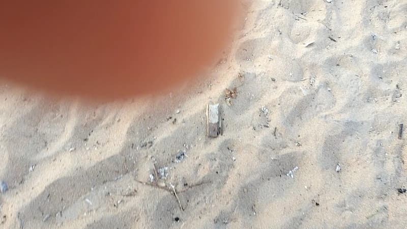 Hình ảnh Quán Tuân Béo Mực Nhảy, Hải Sản Tươi Sống và Các Món Nhậu Bình Dân - 8