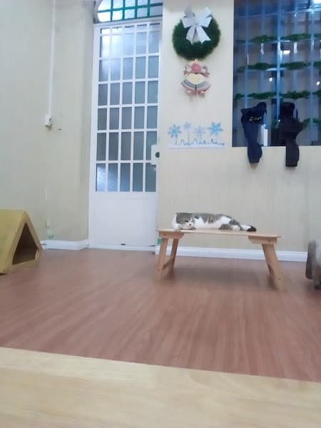 Hình ảnh NEKO trà sữa - coffee - 4