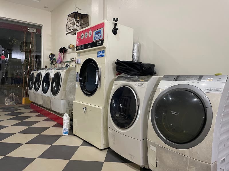 Hình ảnh Dịch vụ giặt nhanh - Express washing service - 3