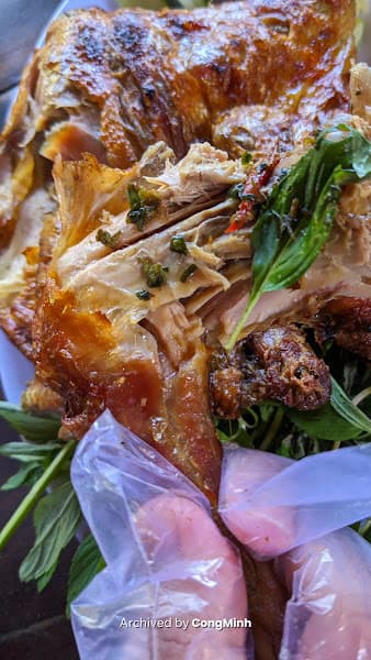 Hình ảnh Gà Nướng Plit - 4