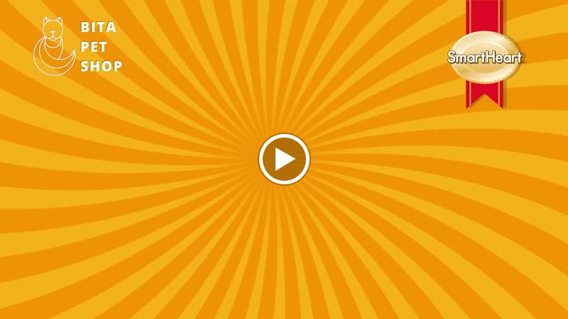 Hình ảnh Bita Pet Shop - 2