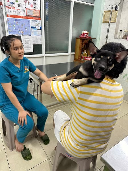 Hình ảnh Bệnh viện Thú y TiTi Pet Đà Nẵng - 5