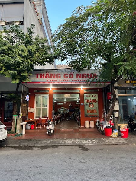 Ảnh bìa Thắng cố Tuấn Anh