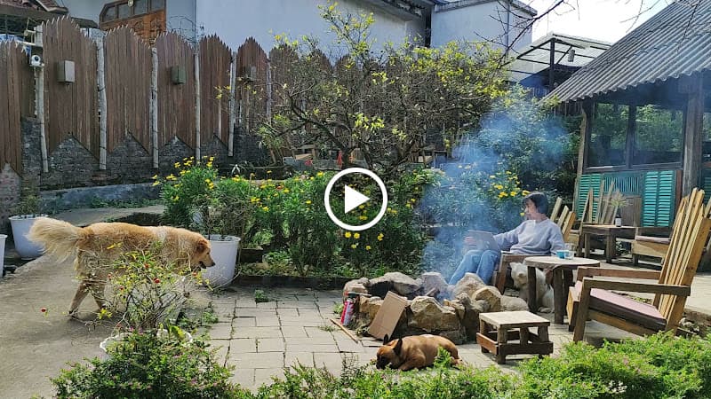 Hình ảnh THE MIST SAPA - 4