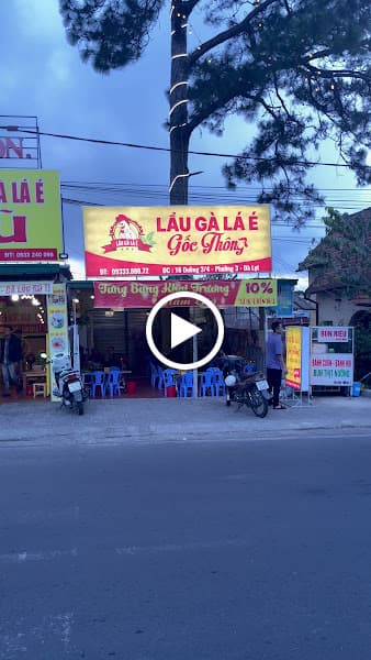 Hình ảnh Lẩu Gà Lá é Gốc Thông - 4