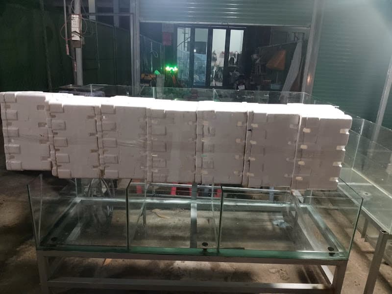 Hình ảnh Cua cà mau hải yến - 4