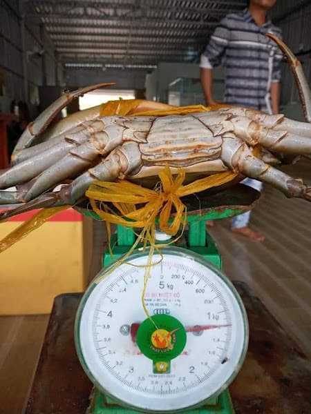 Hình ảnh Vựa Cua Cà Mau - 3