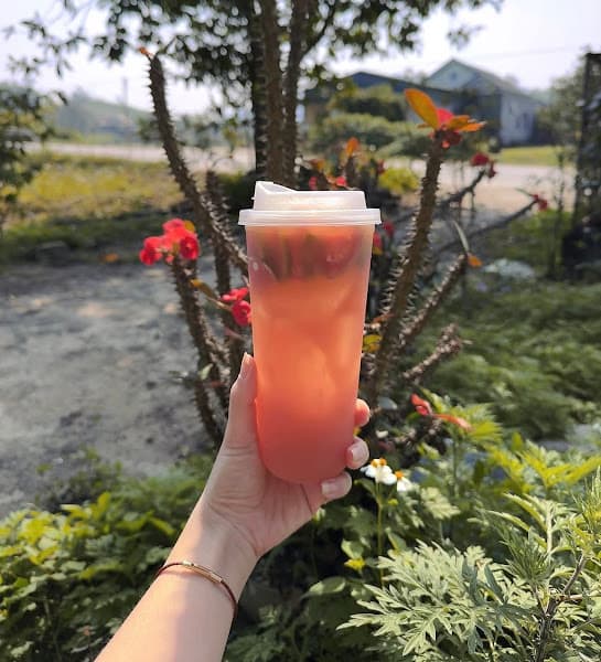 Ảnh bìa Pet Store Méo Mèo Meo