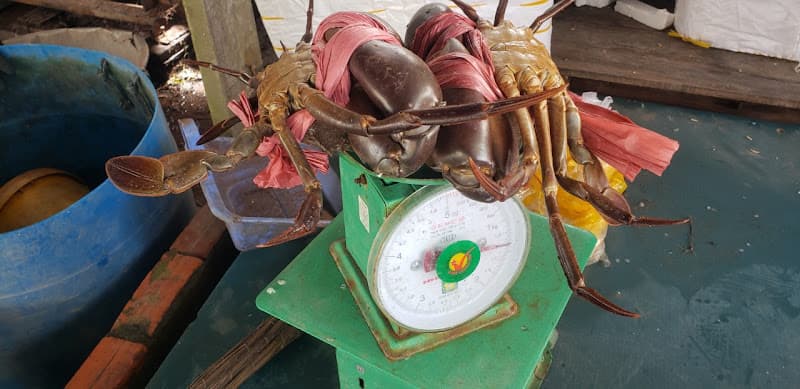 Hình ảnh Vựa Cua Cà Mau - 2