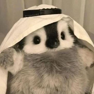 Hình ảnh Phở bò 99 - 7