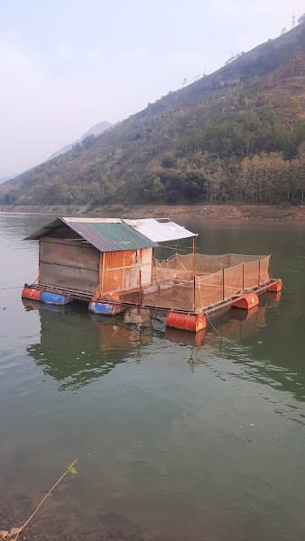 Ảnh bìa Công Ty TNHH Một Thành Viên Cá Tầm Việt Nam – Sơn La