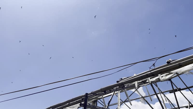 Hình ảnh Yến Sào Từ Khánh - 4