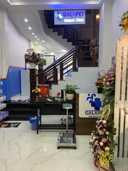 Hình ảnh Phòng Khám Thú Y Gia Lai - GALAPET - 3