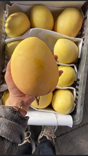 Hình ảnh SINH TỐ TRÁI CÂY TÝ ĐÔ - 4