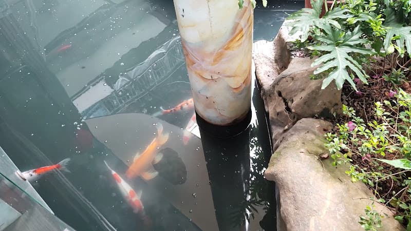Hình ảnh RuBy Coffee Cá Koi - 4