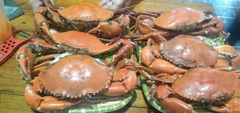 Hình ảnh Nhà Hàng Vịt Suối Nam Trang - 4