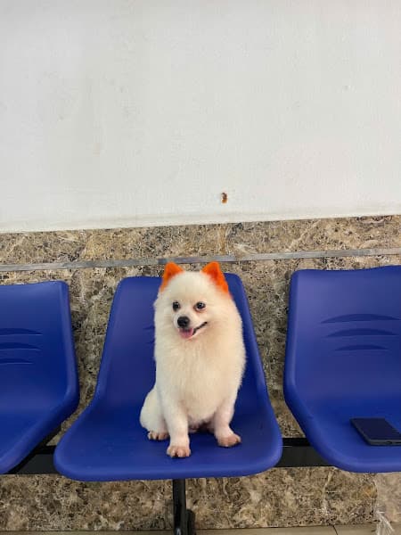 Hình ảnh Phòng Khám Thú Cưng Gaia Pet Thanh Hoá - 2