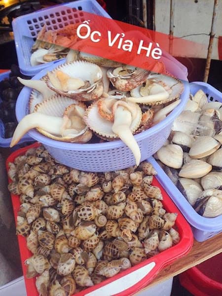 Hình ảnh Ốc Vỉa Hè 20K - 2
