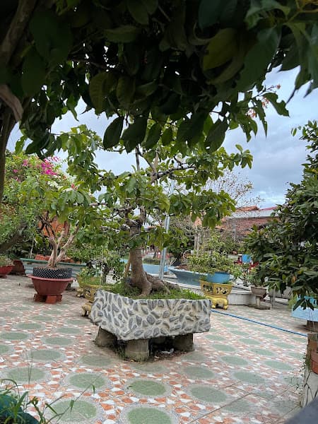 Hình ảnh PHẠM GIA DI TÍCH - 3