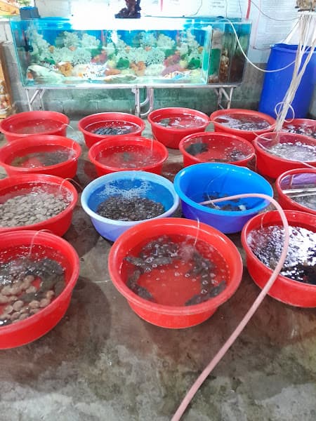 Hình ảnh HẢI SẢN DUYÊN HẢI - 4