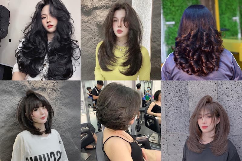 Hình ảnh Hưng tóc chiêm hoá - 4