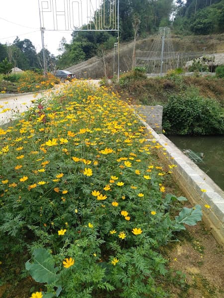 Hình ảnh Phố Núi Quán( Karaoke, Nhà Hàng ) - 4