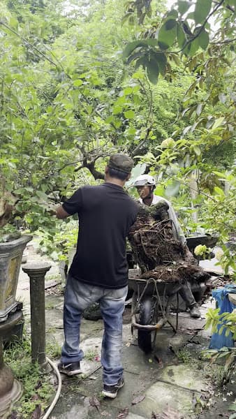 Hình ảnh Bảo Trân Karaoke - 2