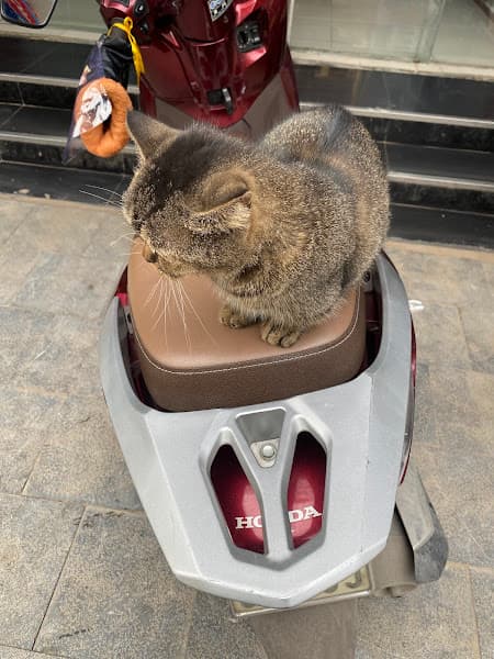 Hình ảnh Nhà Thuốc FPT Long Châu - 2