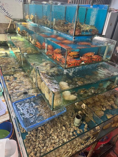 Ảnh bìa Hải Sản 24G