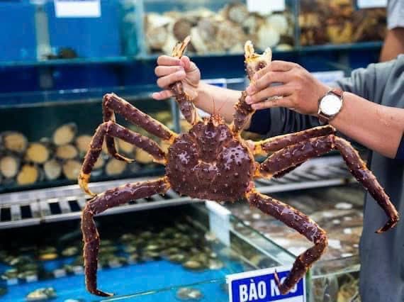 Hình ảnh VỰA HẢI SẢN HUY HƯNG LỢI - 4