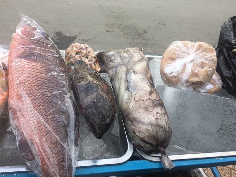 Hình ảnh HẢI SẢN LÝ SƠN-LÝ SƠN SEAFOOD - 2