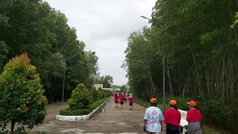 Hình ảnh Vườn Quốc Gia Mũi Cà Mau - 5