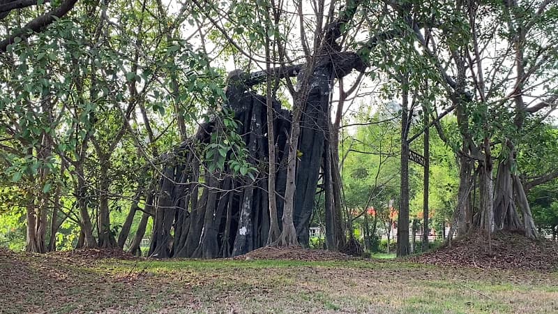 Hình ảnh Khu di tích Quốc gia đặc biệt Tân Trào - 6